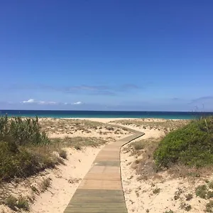  Apartamento Un Mar De Sensaciones En Urb Jardines De Zahara 1ª Linea Atlanterra España